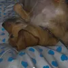 emchen.lem