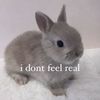 mwah_oreo