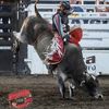 bull_basher92