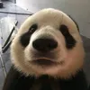 jakeiyy