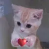 hiby_ag