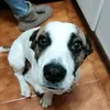 toditaadentro