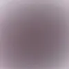 leoshar6