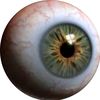 eyesofwhorus