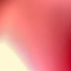 taylor_davis1