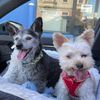 winstonandfiona