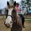 stacyquinlivan
