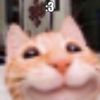 ollixbud