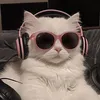 lidolcat