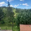 luzbutterfly8