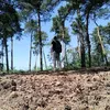 pascal_os