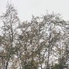 jennifer_aniston73