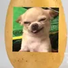 patatapelata1