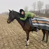 lydianv