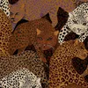 lapkriciosaulee