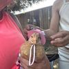 thechick_inn