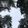 elizabeth__004