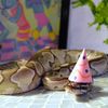 danger_party_noodle