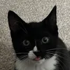 ieahhhhhh