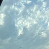anett_lopez10
