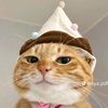 arianasamad