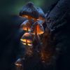 redridinghood267