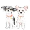 TINKERBELLE THE DOG™ and BELLE