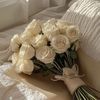 nadll_l