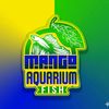 mango_aquarium