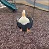 baldheadbhaddie