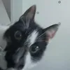 agdkfz