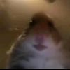 _dancinglol