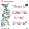 steeecha