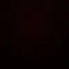 mel_bever