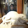 sonerawr