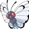 x.crazy_butterfly.x