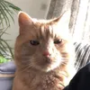 eefsuperteef