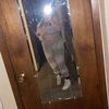 laurahanson1