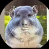 mrvshxx1