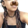 caroldias33