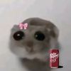 allygonzalez22