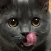 _martie_0_