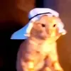 mestonaque