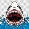 sharkgirl44