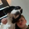 wilhelm_001