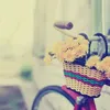 claclasnsn