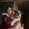 iwanttopetsheep