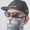 ...mr.madcat