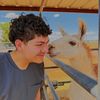 animalvet.journey