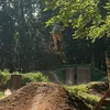 mtbcedi